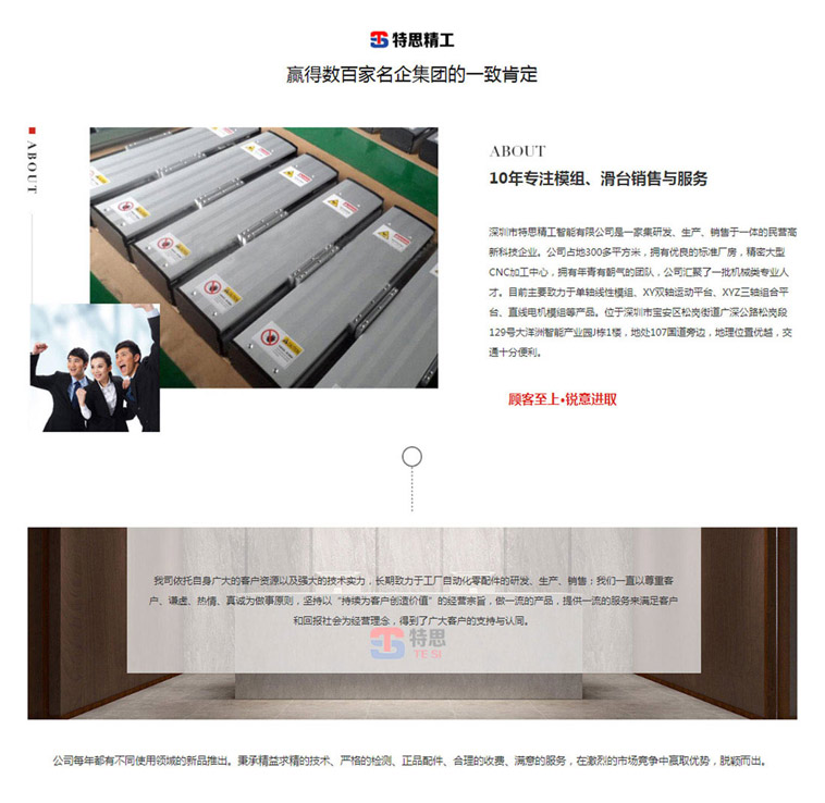 特思精工品牌網(wǎng)站設計案例