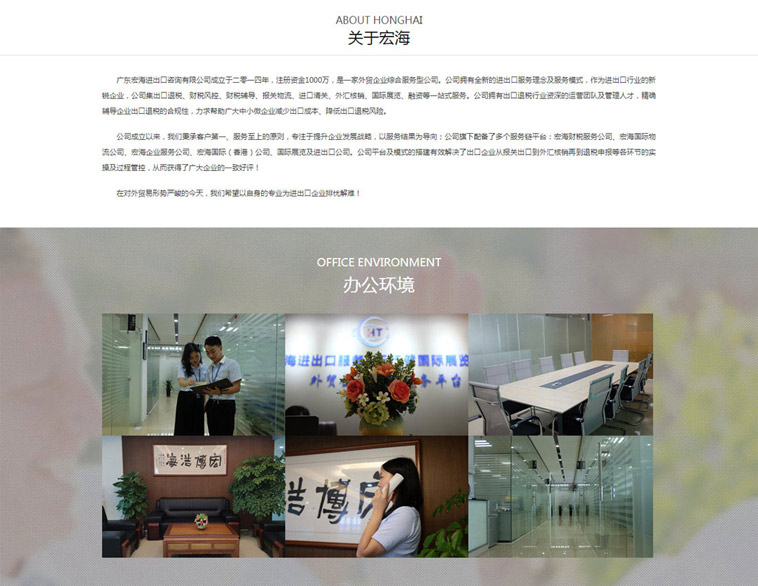 宏海進(jìn)出口咨詢(xún)外貿型網(wǎng)站設計案例