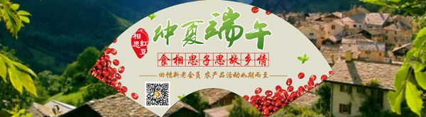 東莞網(wǎng)絡(luò )公司